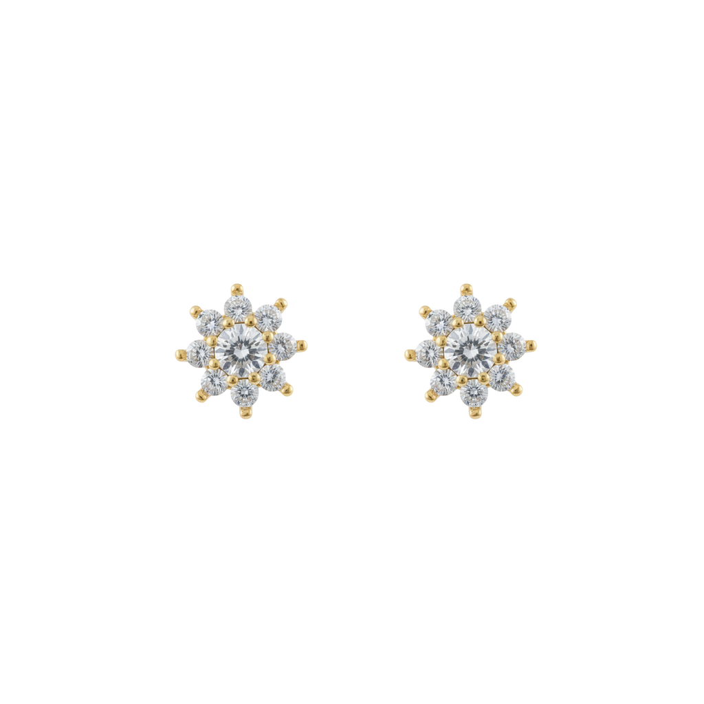ARETE FIORE DI SHINY