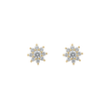 ARETE FIORE DI SHINY