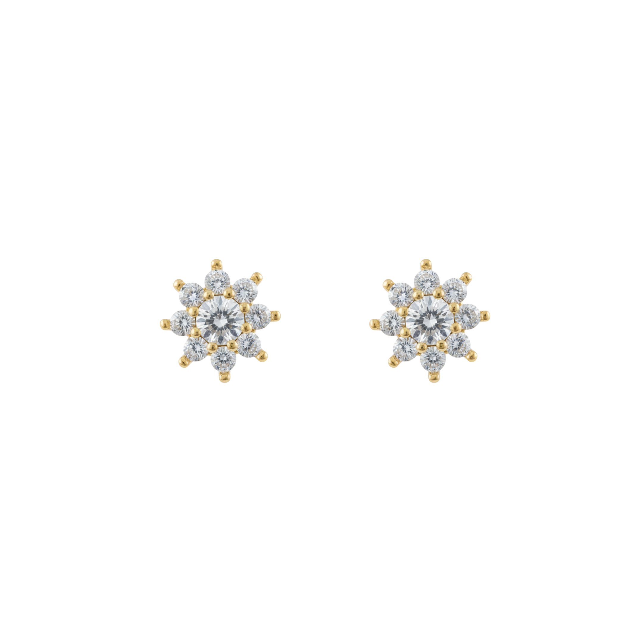 ARETE FIORE DI SHINY