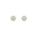 ARETE FIORE PETIT
