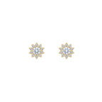 ARETE FIORE PETIT