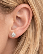 ARETE FIORE PETIT