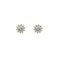 ARETE GRAND SHINY