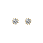 ARETE GRAND SHINY