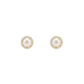 ARETE SPICY PEARL