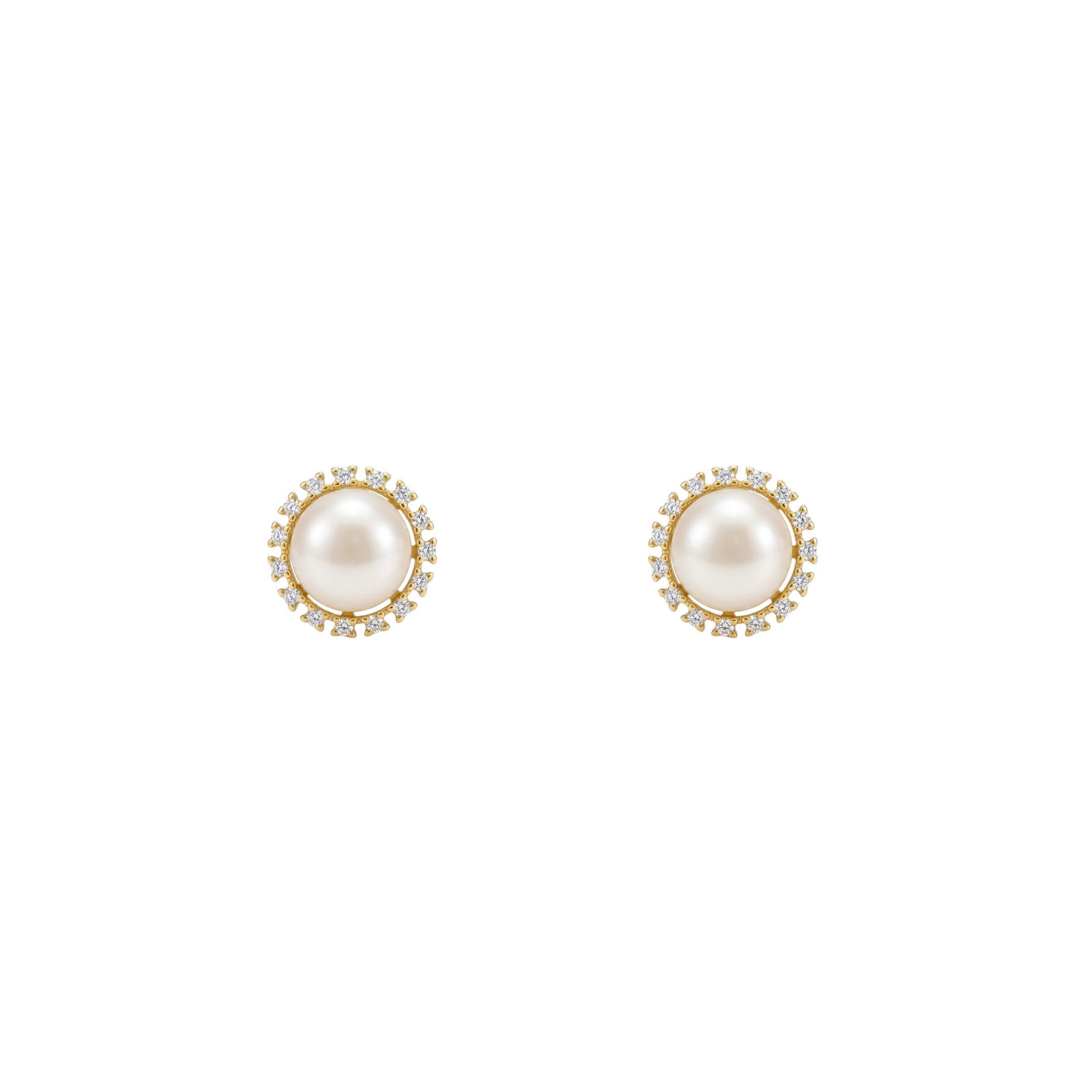 ARETE SPICY PEARL