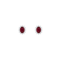 ARETE LADY RUBY