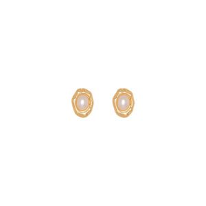 ARETE ELSA