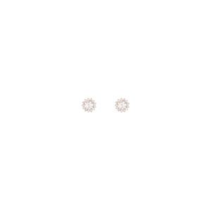 ARETE FIORE