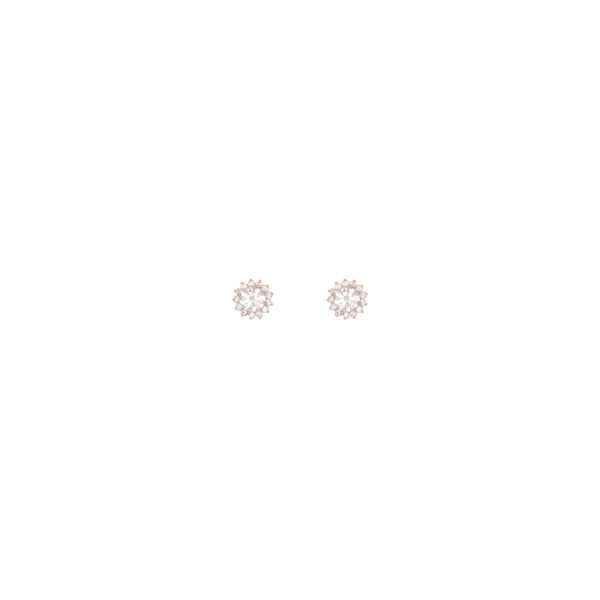 ARETE FIORE